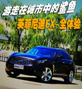 英菲尼迪FX 英菲尼迪 2010款FX系列图片