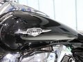 铃木(进口) INTRUDER M1800R
