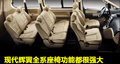 辉翼 现代(进口) 辉翼图片