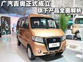 星旺 吉奥 星旺图片