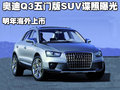 奥迪Q3(进口) 奥迪(进口) Q3图片