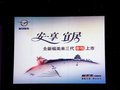 福美来 福美来三代上市现场图片