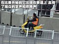 奥迪A4L 奥迪 A4L 2011款图片