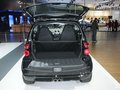 smart fortwo smart 博速版图片