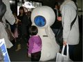 奥迪Q5 奥迪 Q5 2011款图片