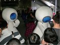 奥迪Q5 奥迪 Q5 2011款图片