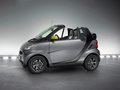 smart fortwo 精灵Smart 哑光灰限量版图片