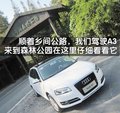 奥迪A3(进口) 奥迪(进口) A3图片