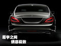 奔驰CLS 奔驰(进口) CLS系图片