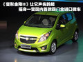 斯帕可SPARK 雪佛兰(进口) 斯帕克SPARK 2011款图片
