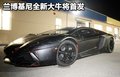 FF 法拉利 法拉利 FF圖片