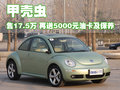 甲壳虫 大众(进口) 甲壳虫beetle图片