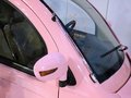 甲殼蟲(chóng) 比德文電動(dòng)車圖片
