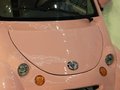 甲殼蟲(chóng) 比德文電動(dòng)車(chē)圖片