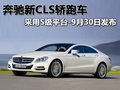 奔馳C級(jí) 北京奔馳 新C級(jí)圖片