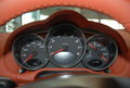 Cayman cayman(987)图片