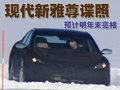雅尊 现代(进口) 雅尊图片