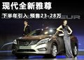 雅尊 现代(进口) 雅尊图片