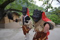 宝马5系 2009 BMW中国文化之旅图片