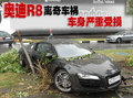 奥迪R8 奥迪(进口) R8图片