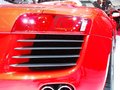 奥迪R8 奥迪(进口) R8 敞篷图片