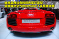 奥迪R8 奥迪(进口) R8图片