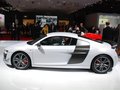 奥迪R8 R8 GT图片