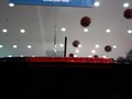 維拉克斯 現(xiàn)代(進口) 維拉克斯圖片
