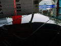 林蔭大道 圖片