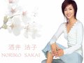 卡罗拉 酒井法子图片