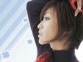 卡罗拉 酒井法子图片