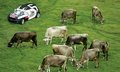 MINI Mini MINI Cooper图片