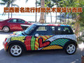 MINI Mini Cooper艺术彩绘车图片