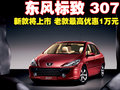 标致307 东风标致 新307三厢 2008款图片
