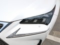 雷克萨斯NX 图片