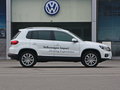 Tiguan 圖片