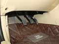 領(lǐng)翔 2009款 2.0 MT 舒適型圖片