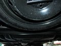 菲亞特500 2011款 1.4 AT 時(shí)尚版圖片