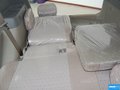 赛马 图片