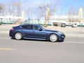 Panamera 图片