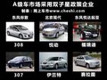 标致308(进口) 图片