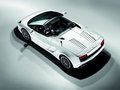 Gallardo 图片