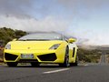 Gallardo 圖片