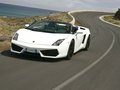 Gallardo 图片
