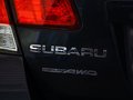 力狮 力狮 2.0 MT 2010款图片