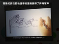 高爾夫 圖片