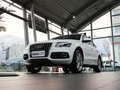 奥迪Q5(进口) Q5 3.2 FSI Quattro 运动版 2010款图片