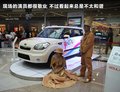 秀尔 图片