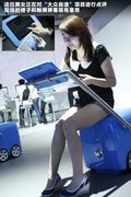 甲壳虫 图片