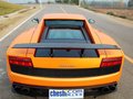 Gallardo 2011款 LP570-4 Superleggera图片